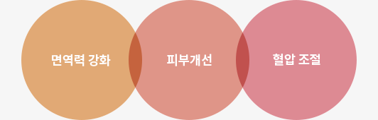 면역력강화 피부개선 혈압조절